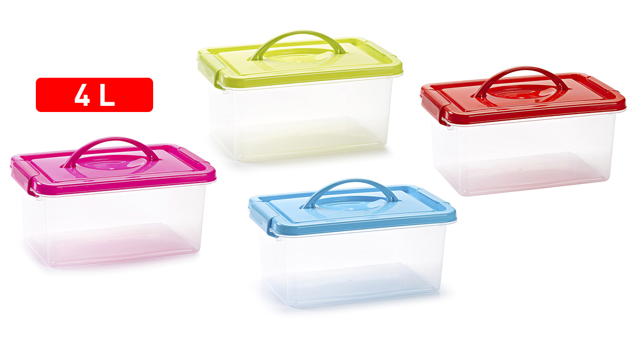 Plastic Forte Multipurpose Mini Box, 4 Liters