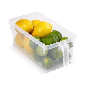 Plastic Forte Organiser Handy Frigo